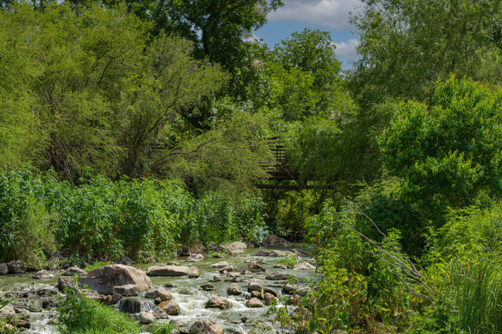 Edwards Aquifer spring fed San Pedro Creek emerges underneath bridge surrounded by summer green foliage and trees with shimmering water captured as it cascades over rocks and boulders in the creek