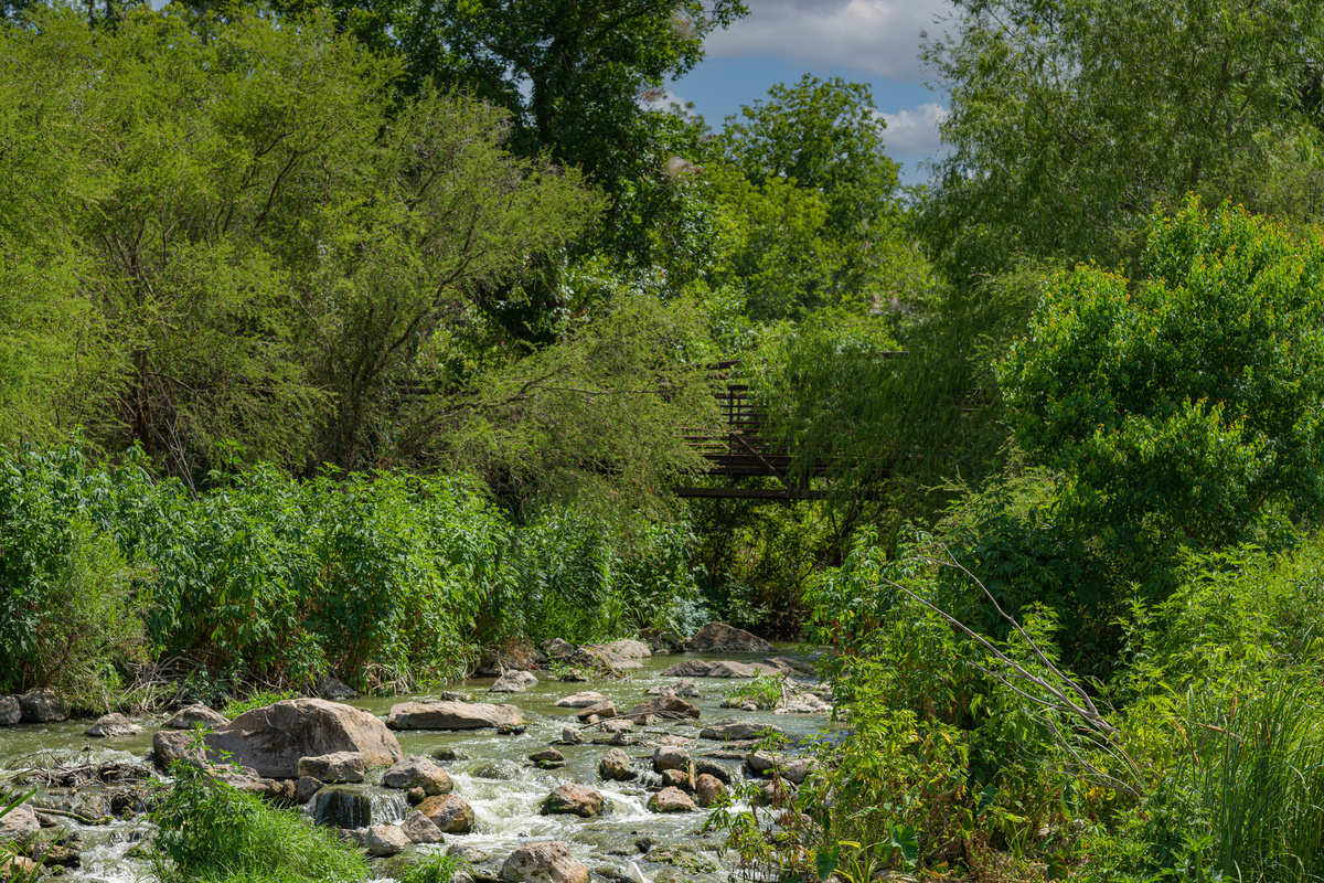Edwards Aquifer spring fed San Pedro Creek emerges underneath bridge surrounded by summer green foliage and trees with shimmering water captured as it cascades over rocks and boulders in the creek